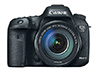 Canon 7D Mark II for Wildlife Photography