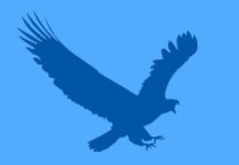 EagleGet: Best Internet Download Manager for Windows EagleGet download manager review