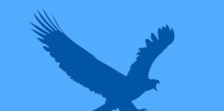 EagleGet: Best Internet Download Manager for Windows EagleGet download manager review