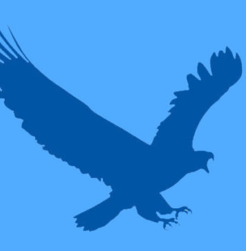 EagleGet: Best Internet Download Manager for Windows EagleGet download manager review